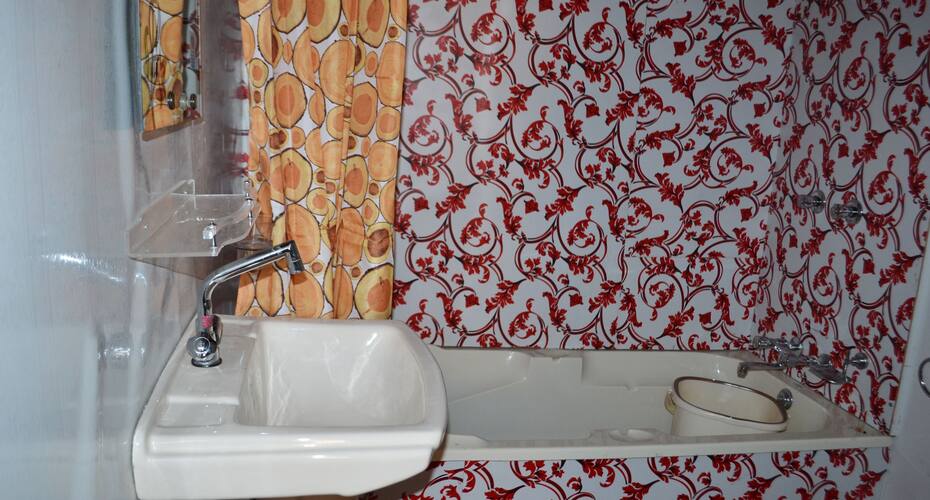 Geneva Houseboat, Srinagar 3